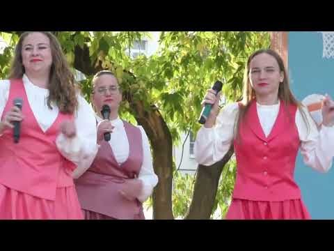 Видео: День Москвы  Новослободский парк Концерт ( 14 сентября 2025 г )