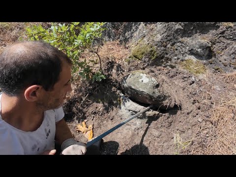 Видео: Золотое сокровище во рту рыбы – ужасающий артефакт!!!