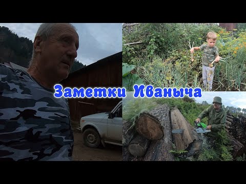 Видео: Сборы и отъезд внучат