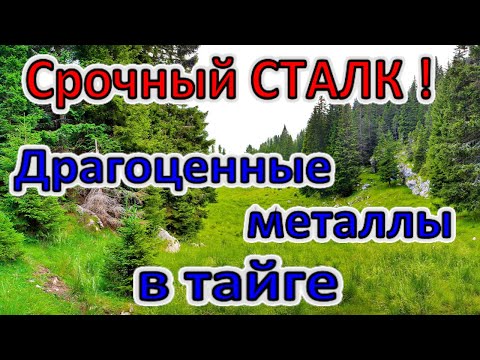 Видео: Все Драгоценные металлы были в тайге! Срочный СТАЛК! Радиодетали под землей!