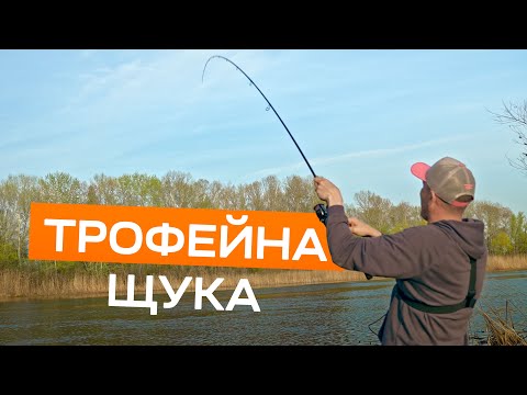 Видео: ТРОФЕЙНА ЩУКА ПІСЛЯ НЕРЕСТУ. Жорсткий тест нового спінінга