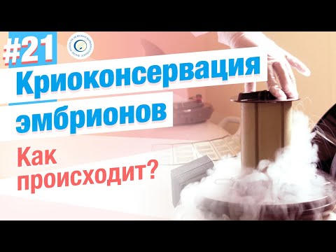 Видео: Как происходит криоконсервация эмбрионов