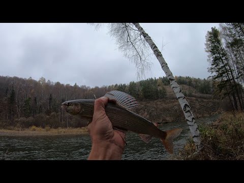 Видео: ПО ТЕМ ЖЕ ЯМАМ! ХАРИУС, ТАЙГА.