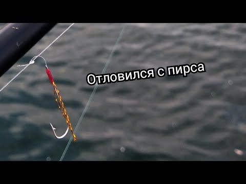 Видео: Ловля ставриды с пирса.Самодур выручает.