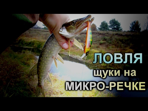 Видео: СНАСТЬ для МИКРО-РЕЧЕК!  На что ловить щуку?! Выбор удилища, катушки и шнура!