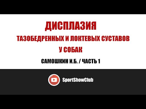 Видео: Дисплазия тазобедренных и локтевых суставов у собак / ЧАСТЬ 1