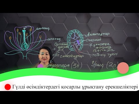 Видео: Гүлді өсімдіктердегі қосарлы ұрықтану ерекшеліктері. 7 сынып.