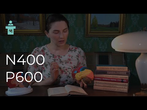 Видео: Потенциалы, связанные с событиями: N400 и P600. Цикл лекций по вызванным потенциалам