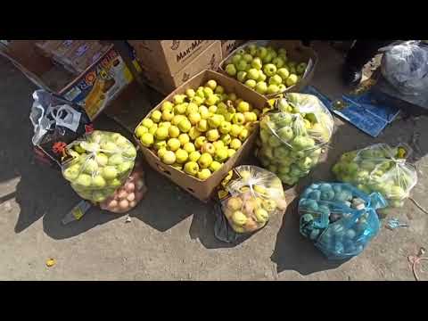 Видео: Ноокат орус базары