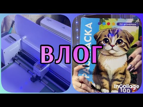 Видео: ВЛОГ/ Пришел плоттер/ Ставлю заказы на СТОП