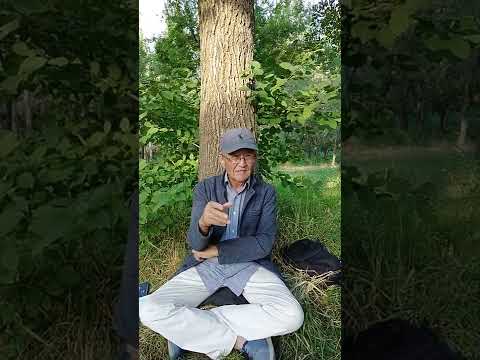 Видео: Дүйшөн Керимов: Конфуций жана майдаланган акыйнек айтыштар.