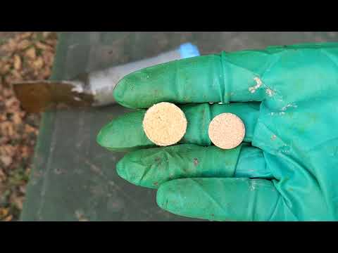 Видео: краще ніж пролив. боротьба з кіщом.