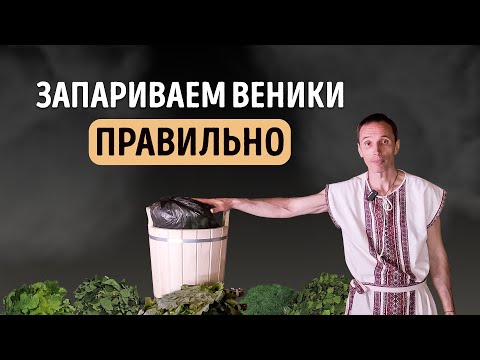 Видео: КАК ЗАПАРИТЬ ВЕНИК для бани | Тимьяновы камни | Роман Лопатков