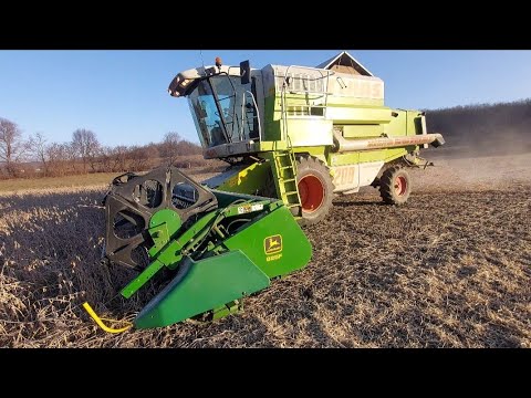 Видео: CLAAS MEGA 208 молотим сою 23.01.2023