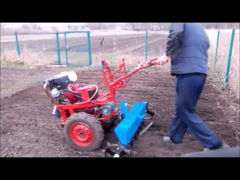 Видео: Сею ГОРЧИЦУ с ГОРОХОМ  сеялкой СМ  6 ПАХАРЬ