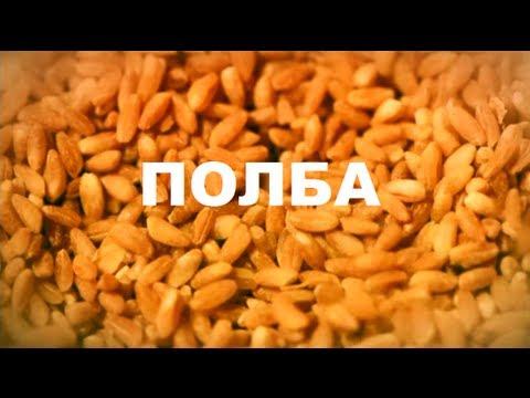 Видео: Галилео. Полба