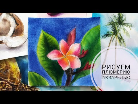 Видео: Как нарисовать плюмерию акварелью. Рисуем плюмерию. Watercolour painting for beginners