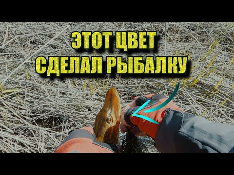 Видео: ПОДОБРАЛ ПРИМАНКУ и СТАЛ КОСИТЬ! 😱 МИКРОДЖИГ с ВОЛЬФРАМОВЫМ ПОВОДКОМ 🎣 ЛОВЛЯ ЩУКИ на МАЛОЙ РЕЧКЕ