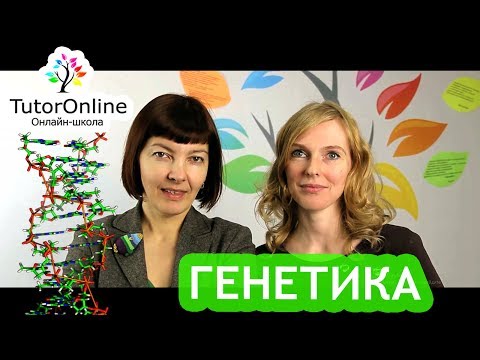 Видео: Биология | Генетика. Задачи.
