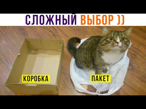 Видео: СЛОЖНААА!!!))) Приколы | Мемозг 899
