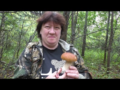 Видео: Ушёл в лес с женой! Жена как талисман ВСЕГДА С НЕЙ С ГРИБАМИ!