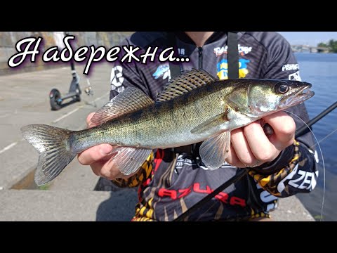Видео: Рибалка на Набережній Києва. Ловля судака на джиг між зачепами