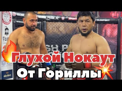 Видео: 🔴ГЛУХОЙ НОКАУТ ОТ ГОРИЛЛЫ 🦍 🇺🇿BOBUR ABDULAZIZOV🇺🇿