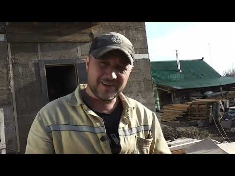 Видео: Мои насекомые.