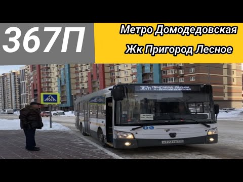 Видео: Информатор Автобуса 367 П