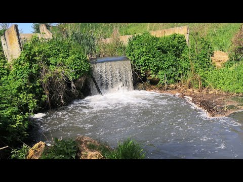 Видео: Рыбалка на старом русле Егорлыка. Крупный карась.