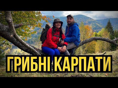 Видео: Повні Кошики Грибів!Карпатська Грибна Казка