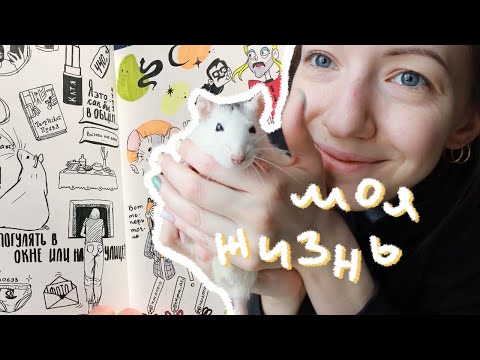 Видео: VLOG в Дневнике 8-11.03| Как заполняю ВД, инсталогия, одиночество
