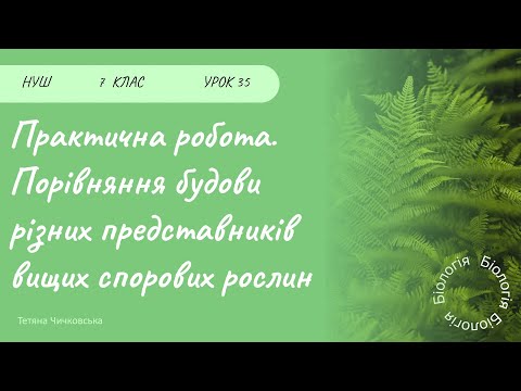 Видео: Практична робота. Порівняння будови різних представників вищих спорових рослин
