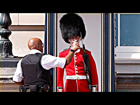 Видео: Попробуй НЕ ЗАПЛАКАТЬ! 😭 Топ 25 Самых Трогательных Моментов, Снятых на Камеру №14