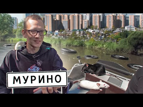 Видео: ЧЕРЕЗ МУСОР И ХИМИКАТЫ ПРИПЛЫЛИ В МУРИНО НА ЛОДКЕ.