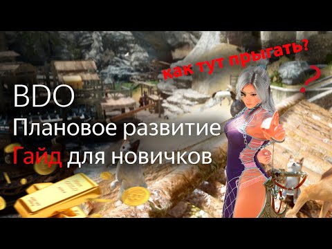 Видео: Гайд для новичков | Плановое развитие экипировки | Black Desert Online