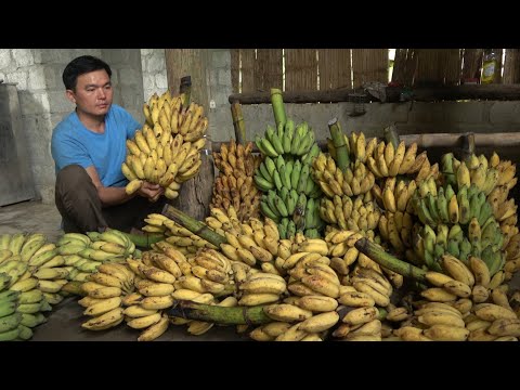 Видео: Приготовьте банановые конфеты.  Роберт |  Зеленая лесная жизнь