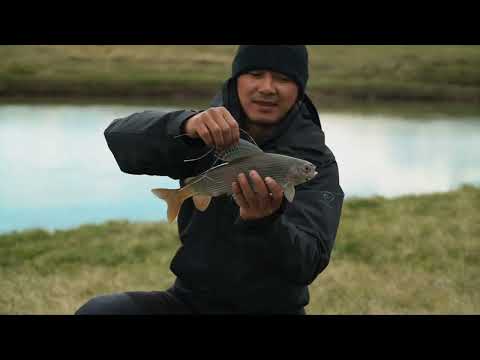 Видео: Экспедиция на Плато Укок на квадроциклах. AiSultan Tour | RB Motors