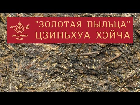Видео: Мастер Чая ● Цзиньхуа Хэйча "Золотая Пыльца"