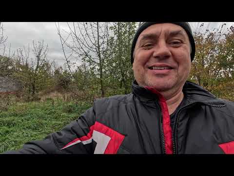 Видео: ✅ Участок под Пасеку с Нуля! 3 Часть. Забор. #пчеловодство1