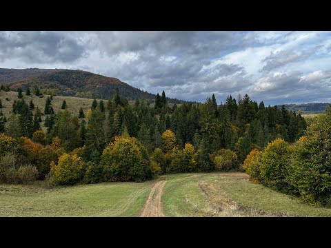 Видео: Альтернативний Шипіт 2024