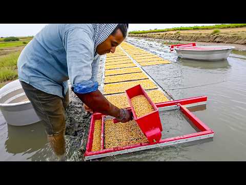 Видео: 50 самых интересных машин и гениальных инструментов ►2