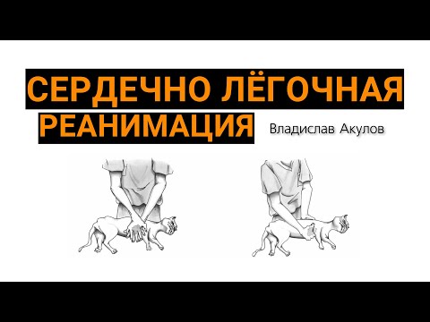 Видео: Сердечно лёгочная реанимация