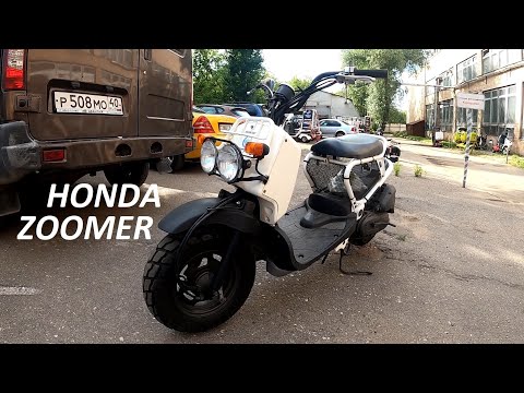 Видео: Покупаем Honda Zoomer из Японии!