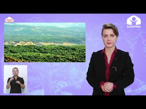 Видео: Родиноведение 3 класс / Леса Кыргызстана / ТЕЛЕУРОК 2.12.20