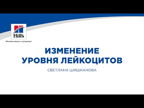 Видео: Вебинар на тему: "Изменение уровня лейкоцитов." Лектор - Светлана Викторовна Шишканова.