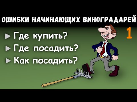 Видео: Ошибки начинающих виноградарей.   Часть 1