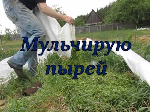 Видео: Конец ужасной рассады