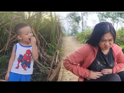 Видео: Насколько сложной станет жизнь девочки, когда ей придётся жить одной в старом бамбуковом доме?