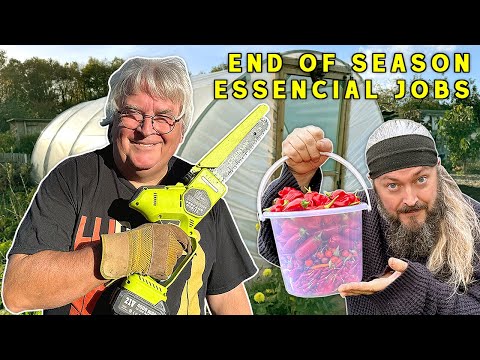 Видео: Это ПРЕОБРАЗИЛО наш участок | Садоводство на участке в Великобритании